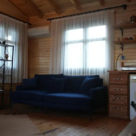 Сasa de vacaciones Wood Muğla
